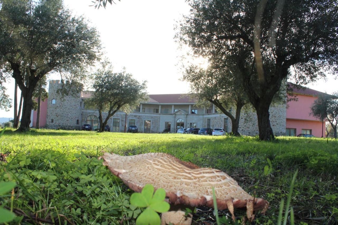 Palace Hotel & Spa Termas De Sao Tiago Penamacor Exterior photo